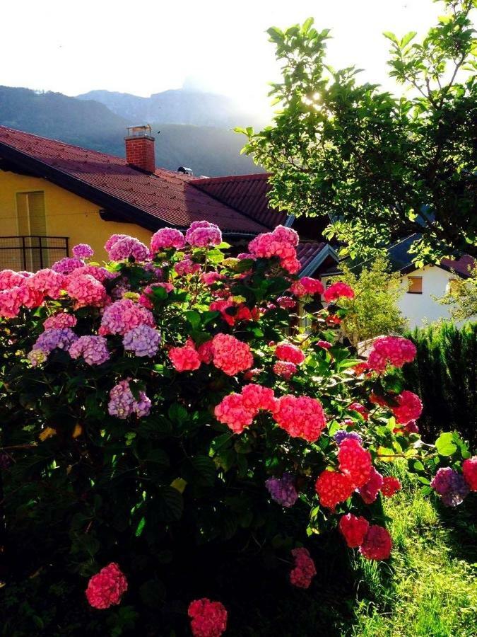 Cosy Cottage With Views Near Kobarid Bagian luar foto